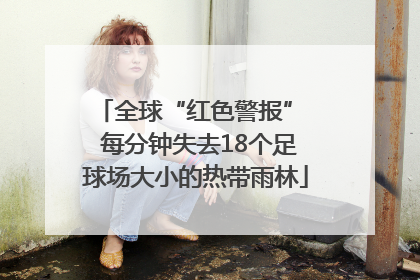 全球“红色警报”  每分钟失去18个足球场大小的热带雨林