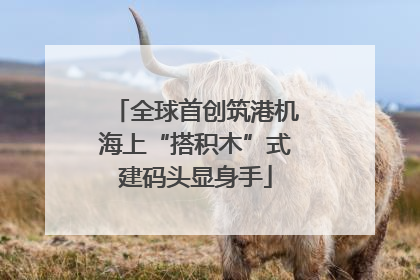 全球首创筑港机海上“搭积木”式建码头显身手