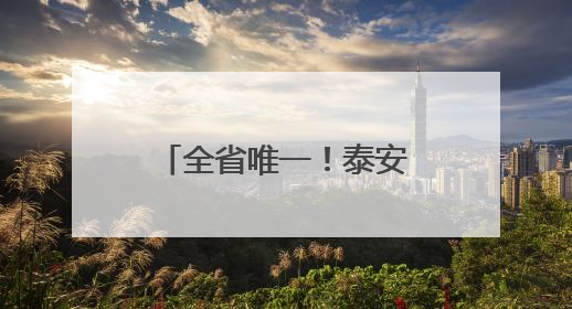 全省唯一！泰安非遗九品贡酵素煎饼亮相第九届中国成都国际非物质文化遗产节