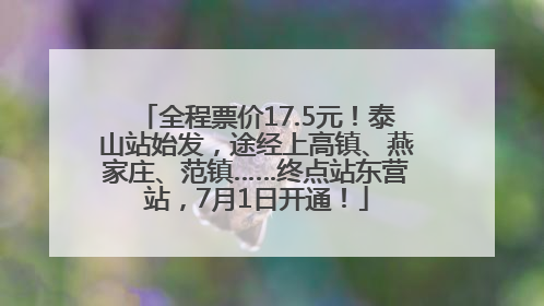 全程票价17.5元！泰山站始发，途经上高镇、燕家庄、范镇……终点站东营站，7月1日开通！