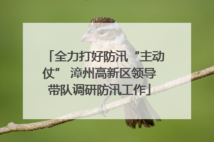 全力打好防汛“主动仗” 漳州高新区领导带队调研防汛工作