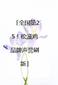 全国第25！松滋鸡品牌声誉刷新