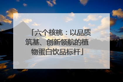 六个核桃：以品质筑基、创新领航的植物蛋白饮品标杆