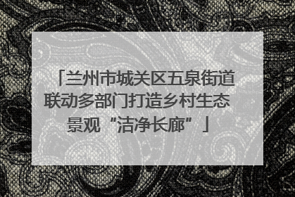 兰州市城关区五泉街道联动多部门打造乡村生态景观“洁净长廊”