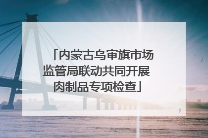 内蒙古乌审旗市场监管局联动共同开展肉制品专项检查