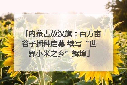 内蒙古敖汉旗：百万亩谷子播种启幕 续写“世界小米之乡”辉煌