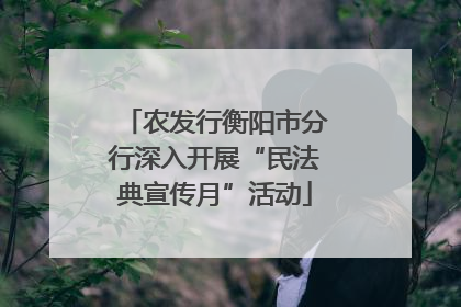 农发行衡阳市分行深入开展“民法典宣传月”活动