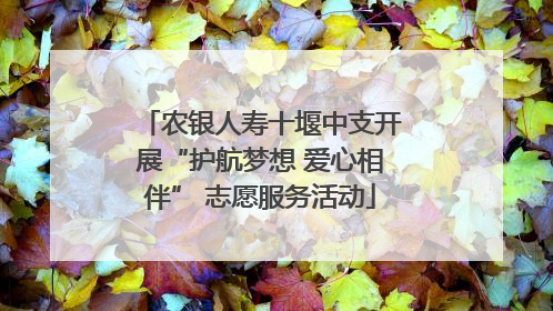 农银人寿十堰中支开展“护航梦想 爱心相伴” 志愿服务活动