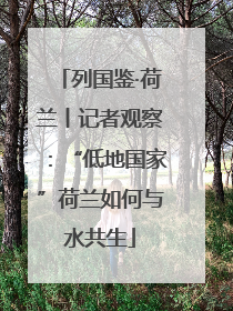 列国鉴·荷兰丨记者观察：“低地国家”荷兰如何与水共生