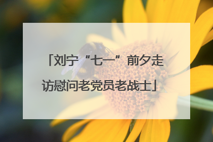 刘宁“七一”前夕走访慰问老党员老战士