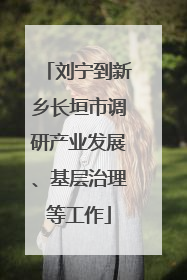 刘宁到新乡长垣市调研产业发展、基层治理等工作