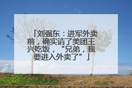 刘强东：进军外卖前，确实请了美团王兴吃饭，“兄弟，我要进入外卖了”