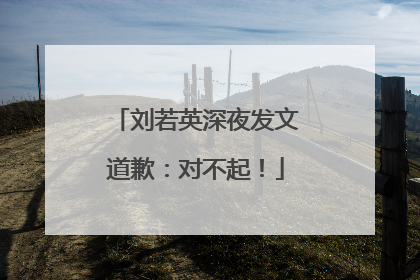 刘若英深夜发文道歉：对不起！