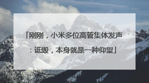 刚刚，小米多位高管集体发声：诋毁，本身就是一种仰望