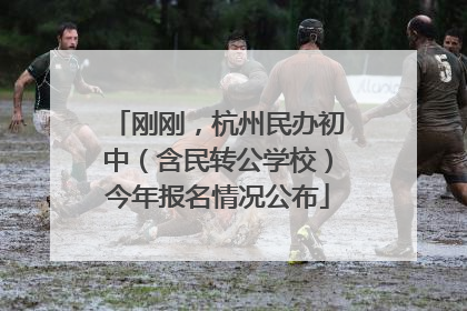 刚刚，杭州民办初中（含民转公学校）今年报名情况公布