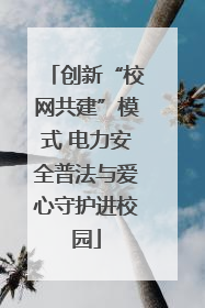 创新“校网共建”模式 电力安全普法与爱心守护进校园