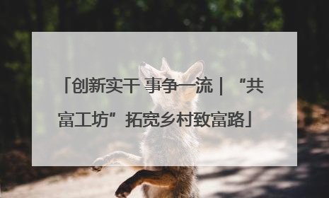 创新实干 事争一流｜“共富工坊”拓宽乡村致富路