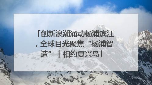 创新浪潮涌动杨浦滨江，全球目光聚焦“杨浦智造”｜相约复兴岛