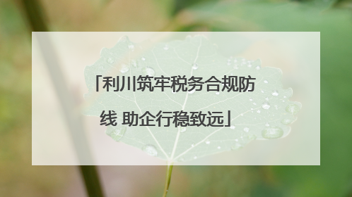 利川筑牢税务合规防线 助企行稳致远