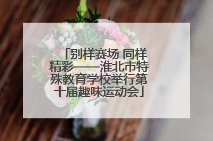 别样赛场 同样精彩——淮北市特殊教育学校举行第十届趣味运动会