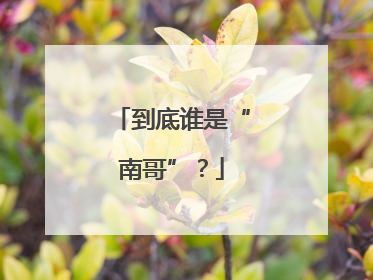 到底谁是“南哥”？