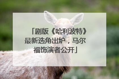 剧版《哈利波特》最新选角出炉，马尔福饰演者公开