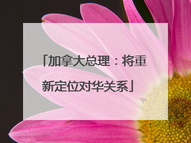 加拿大总理：将重新定位对华关系