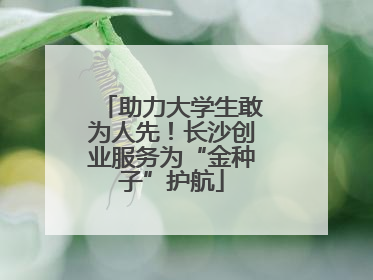 助力大学生敢为人先！长沙创业服务为“金种子”护航