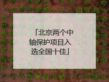 北京两个中轴保护项目入选全国十佳
