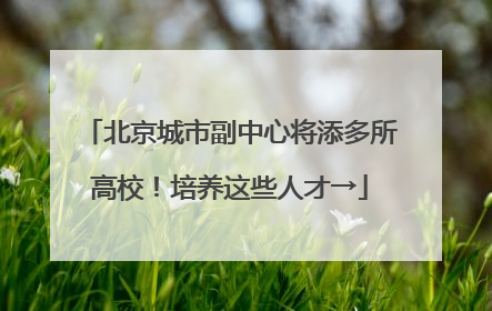 北京城市副中心将添多所高校！培养这些人才→