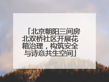 北京朝阳三间房北双桥社区开展花箱治理，构筑安全与诗意共生空间