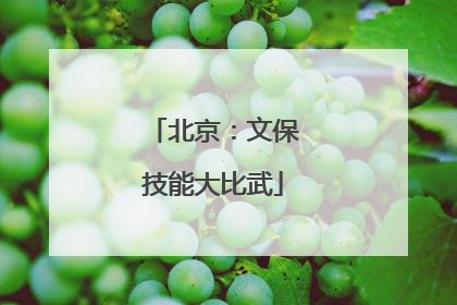 北京：文保技能大比武