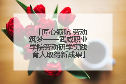 匠心领航 劳动筑梦——武威职业学院劳动研学实践育人取得新成果