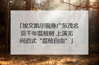 埃文凯尔现身广东茂名 赏千年荔枝树 上演无间道式“荔枝自由”