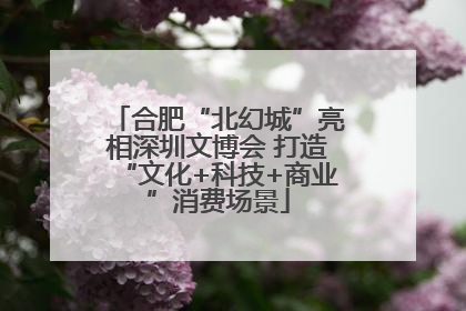 合肥“北幻城”亮相深圳文博会 打造“文化+科技+商业”消费场景