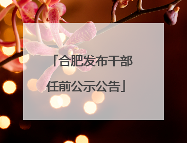 合肥发布干部任前公示公告