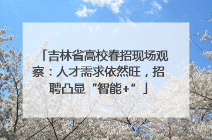 吉林省高校春招现场观察：人才需求依然旺，招聘凸显“智能+”