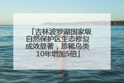 吉林波罗湖国家级自然保护区生态修复成效显著，珍稀鸟类10年增加5倍