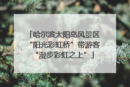 哈尔滨太阳岛风景区“阳光彩虹桥”带游客“漫步彩虹之上”