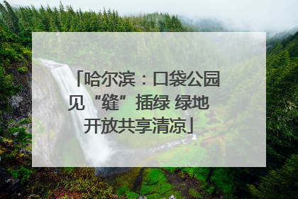 哈尔滨：口袋公园见“缝”插绿 绿地开放共享清凉