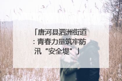 唐河县泗洲街道：青春力量筑牢防汛“安全堤”