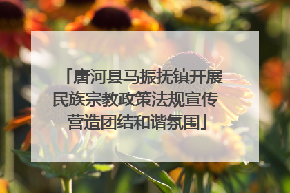 唐河县马振抚镇开展民族宗教政策法规宣传 营造团结和谐氛围
