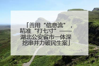 善用“信息流”，精准“打七寸”——湖北公安省市一体深挖串并力破民生案