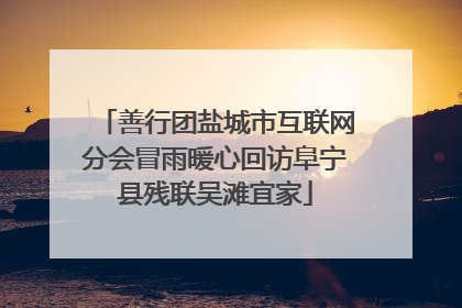 善行团盐城市互联网分会冒雨暖心回访阜宁县残联吴滩宜家