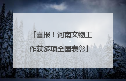喜报！河南文物工作获多项全国表彰