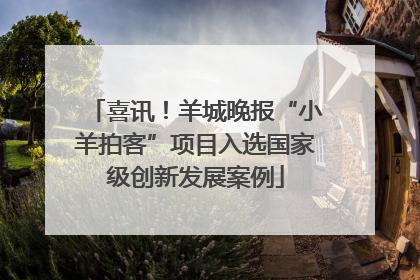 喜讯！羊城晚报“小羊拍客”项目入选国家级创新发展案例