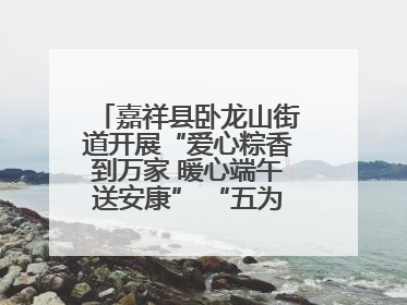 嘉祥县卧龙山街道开展“爱心粽香到万家 暖心端午送安康” “五为”志愿服务活动