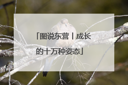 图说东营丨成长的十万种姿态