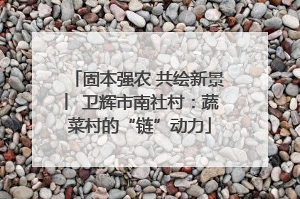 固本强农 共绘新景 ︳卫辉市南社村：蔬菜村的“链”动力