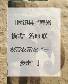 固镇县“寿光模式”落地 联农带农富农“三步走”